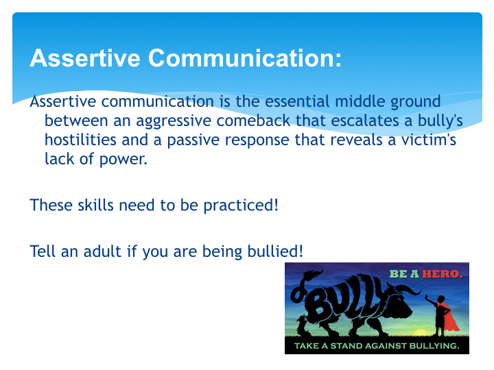 Anti-Bullying SAU Website.007