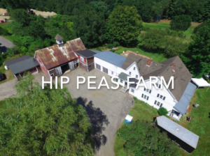 Hip Peas Farm Video Link